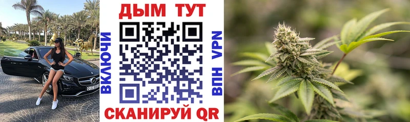 Каннабис ГИДРОПОН  Суджа 